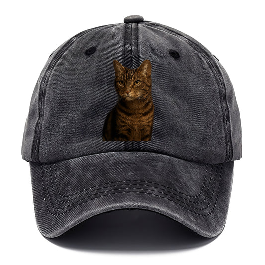 brown-tabby-cozy-charm Hat