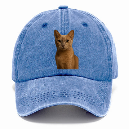 fawn-cat-playful-spirit Hat