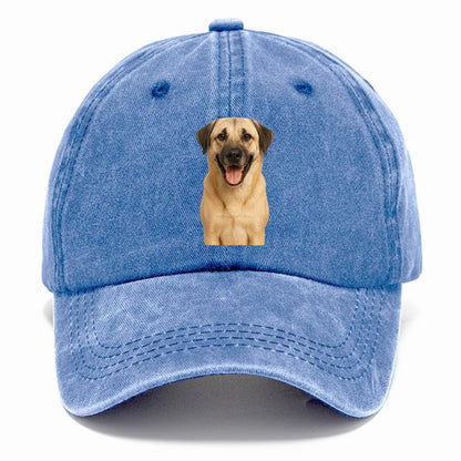 anatolian shepherd portrait design Hat