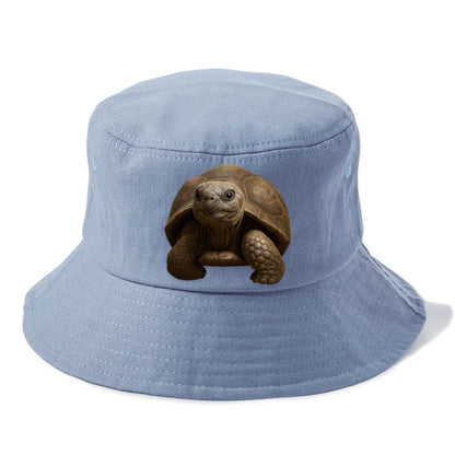 tortoise portrait design Hat