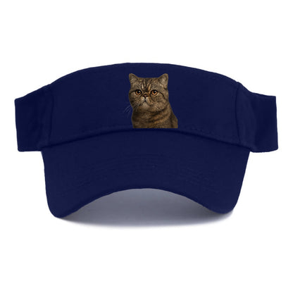 exotic-shorthair-calm-demeanor Hat