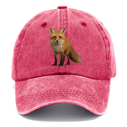 portrait of a red fox Hat