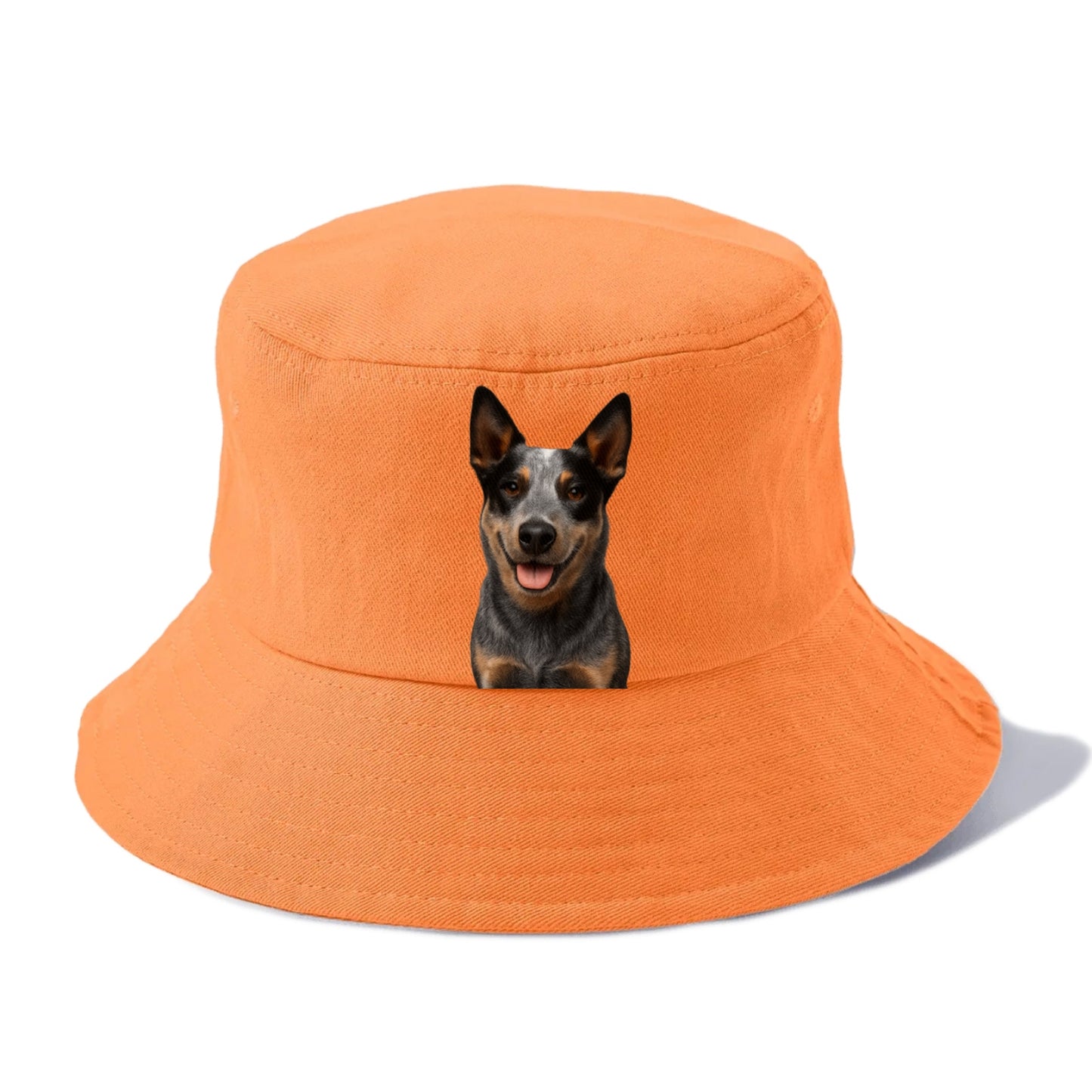 cattle dog: unyielding spirit Hat