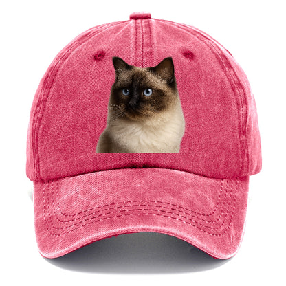 ragdoll-gentle-demeanor Hat
