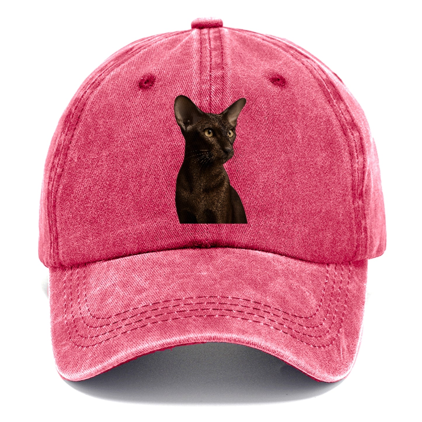 oriental-shorthair-sleek-chic Hat
