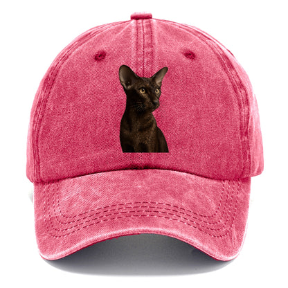 oriental-shorthair-sleek-chic Hat