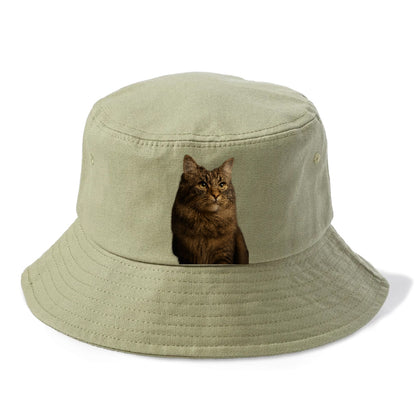 regal-cymric-charm Hat