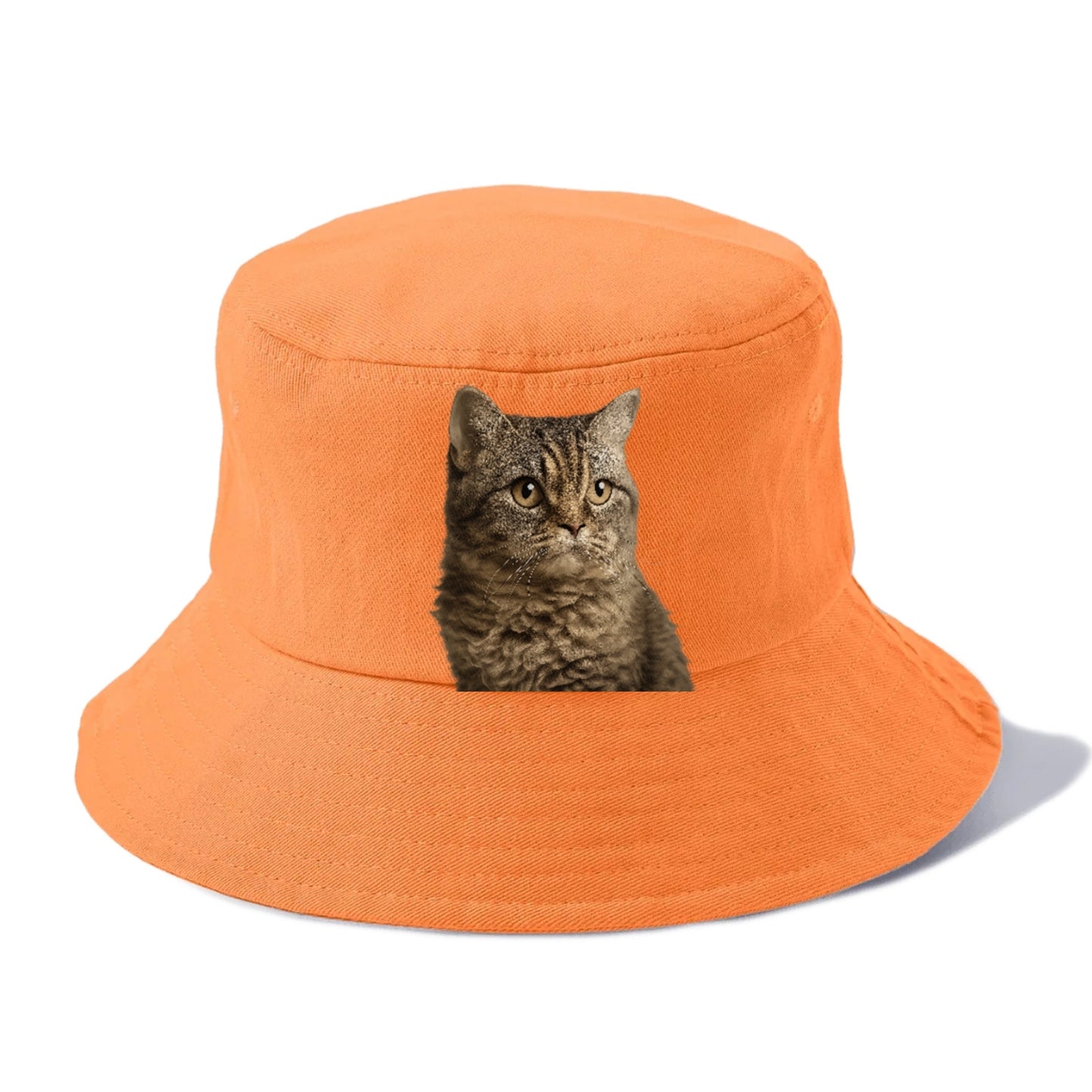 lambkin-sweet-gentle-spirit Hat