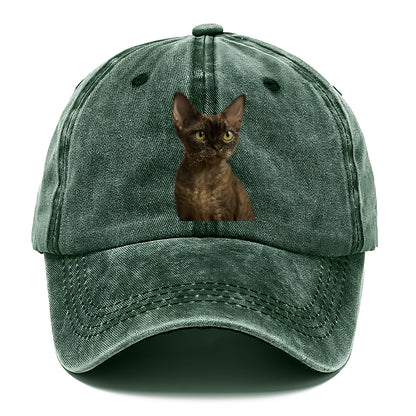 devon-rex-the-unique-charm Hat