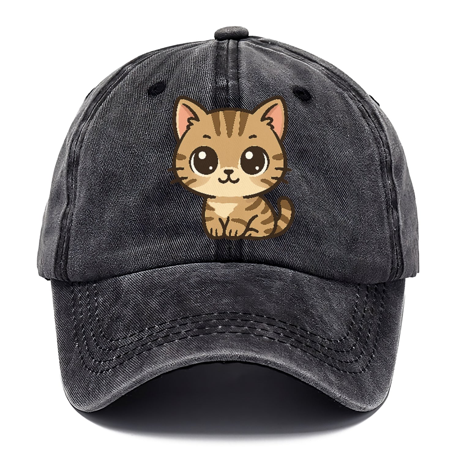 tabby-mix-playful-spirit Hat
