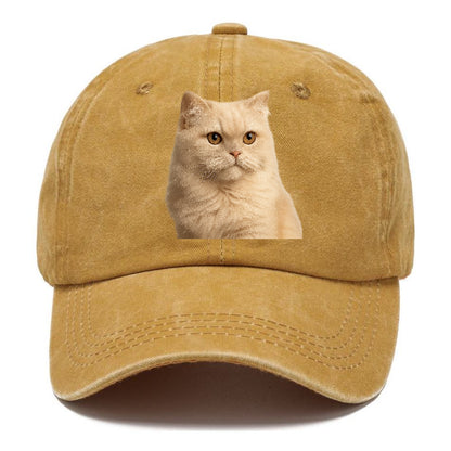 cream-persian-fluffy-elegance Hat