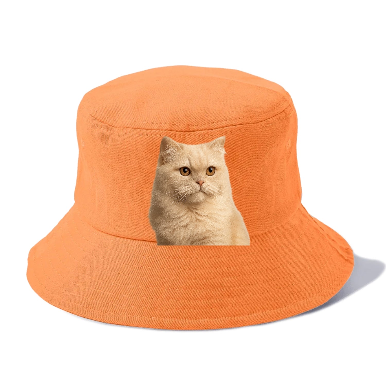 cream-persian-fluffy-elegance Hat