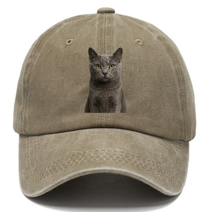 gray-cat-mysterious-charm Hat
