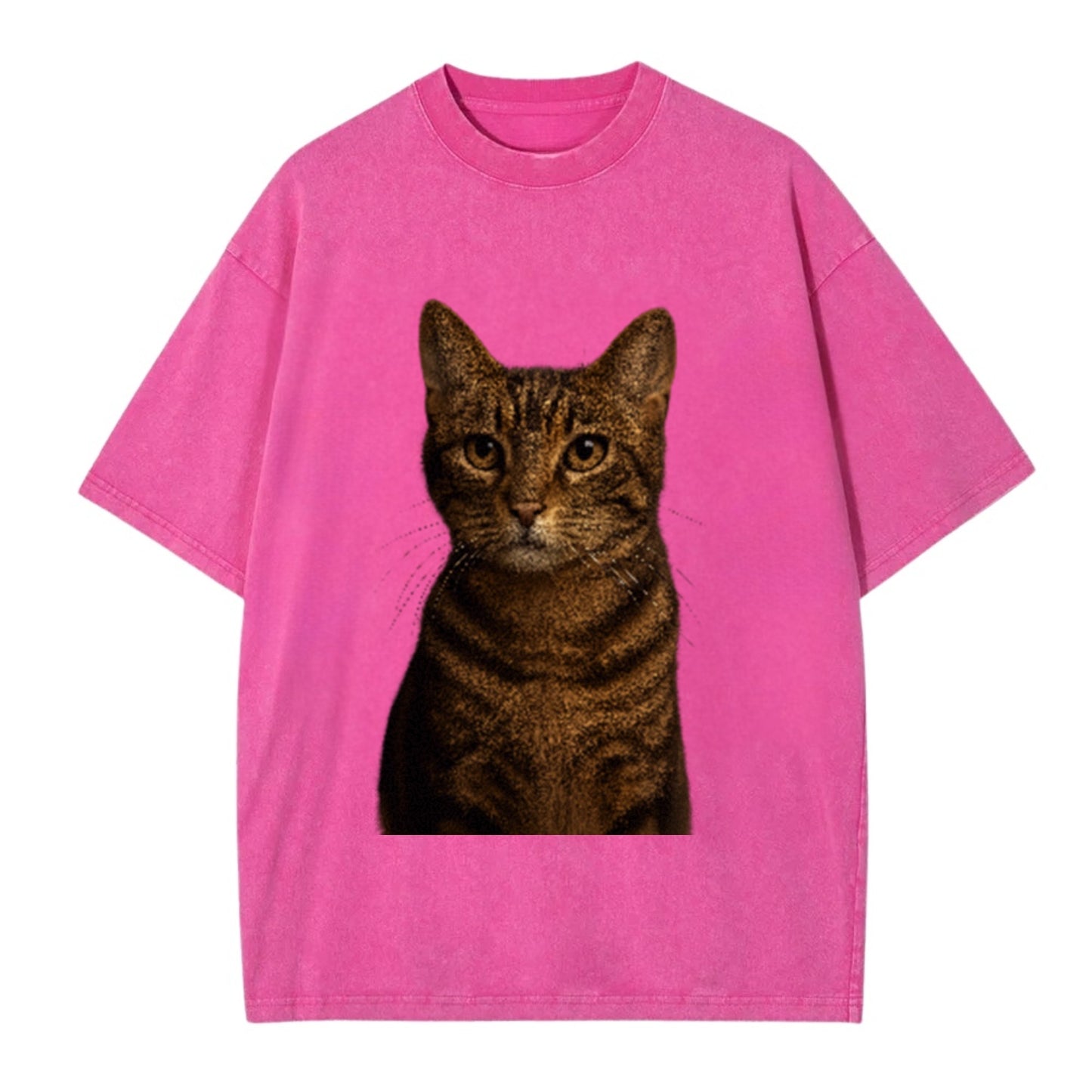 brown-tabby-playful-spirit Hat