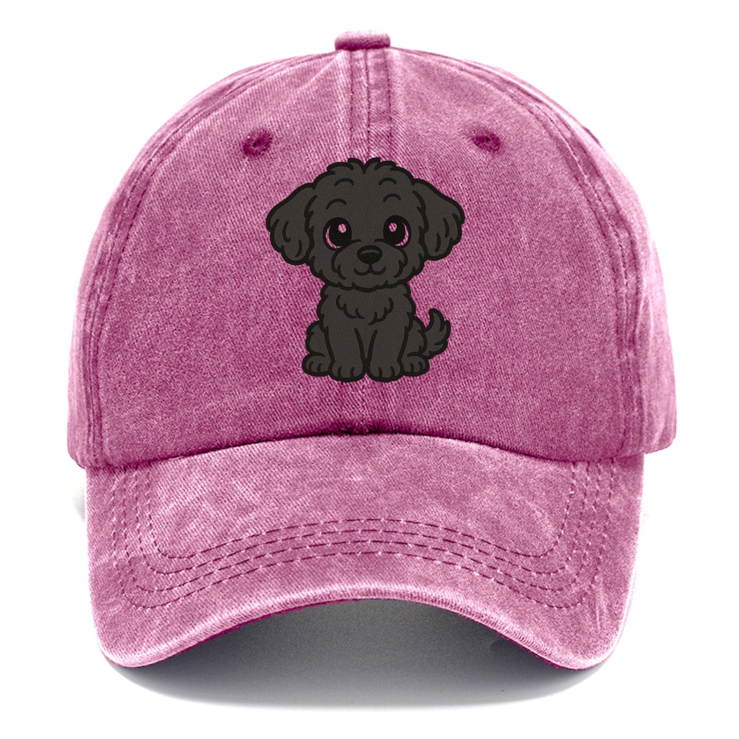 black maltipoo black curly sitting pose portrait design Hat