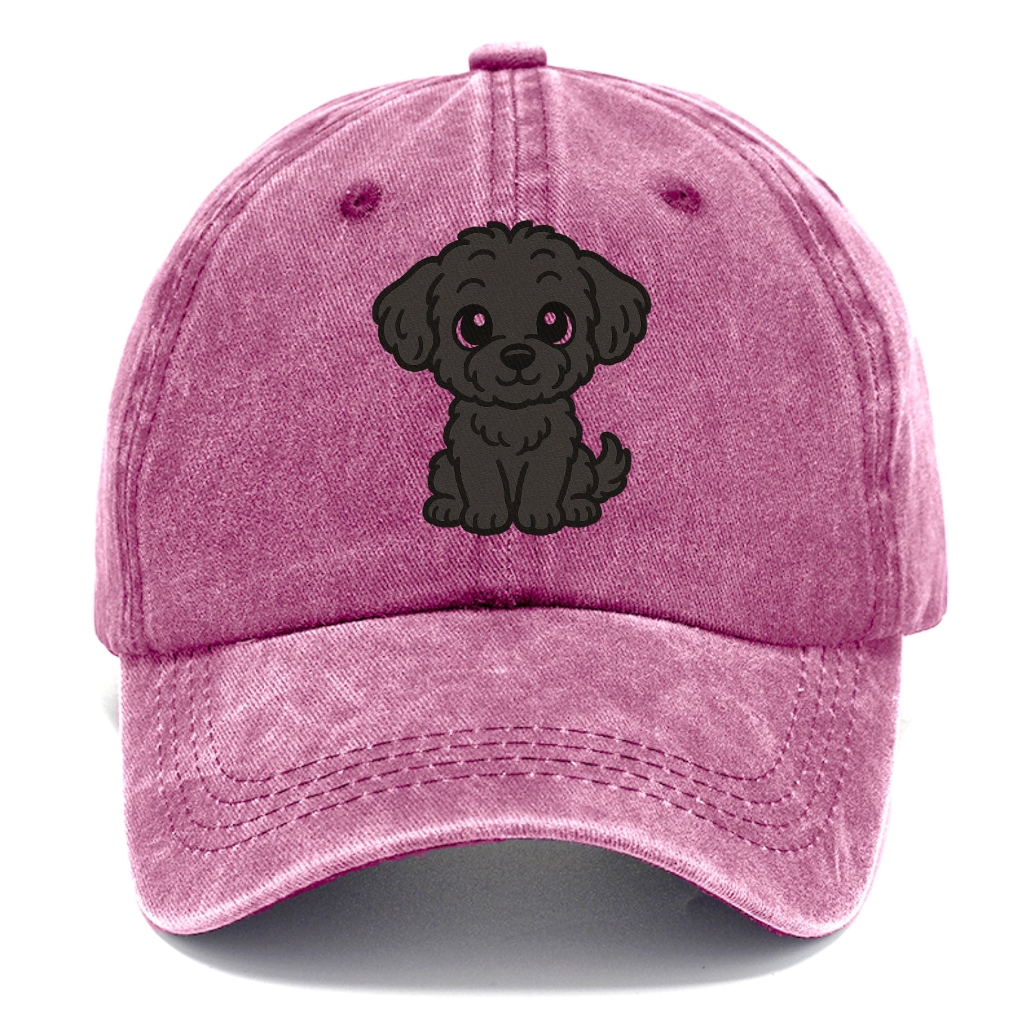 black maltipoo black curly sitting pose portrait design Hat
