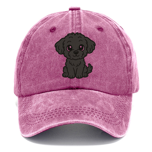 black maltipoo black curly sitting pose portrait design Hat