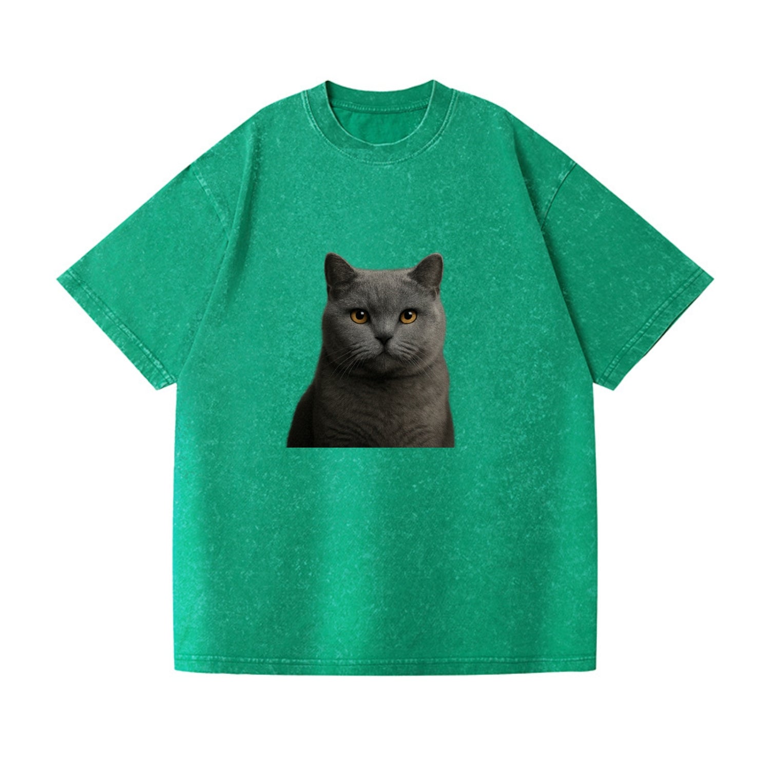 british shorthair dignified charm Hat