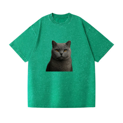 british shorthair dignified charm Hat