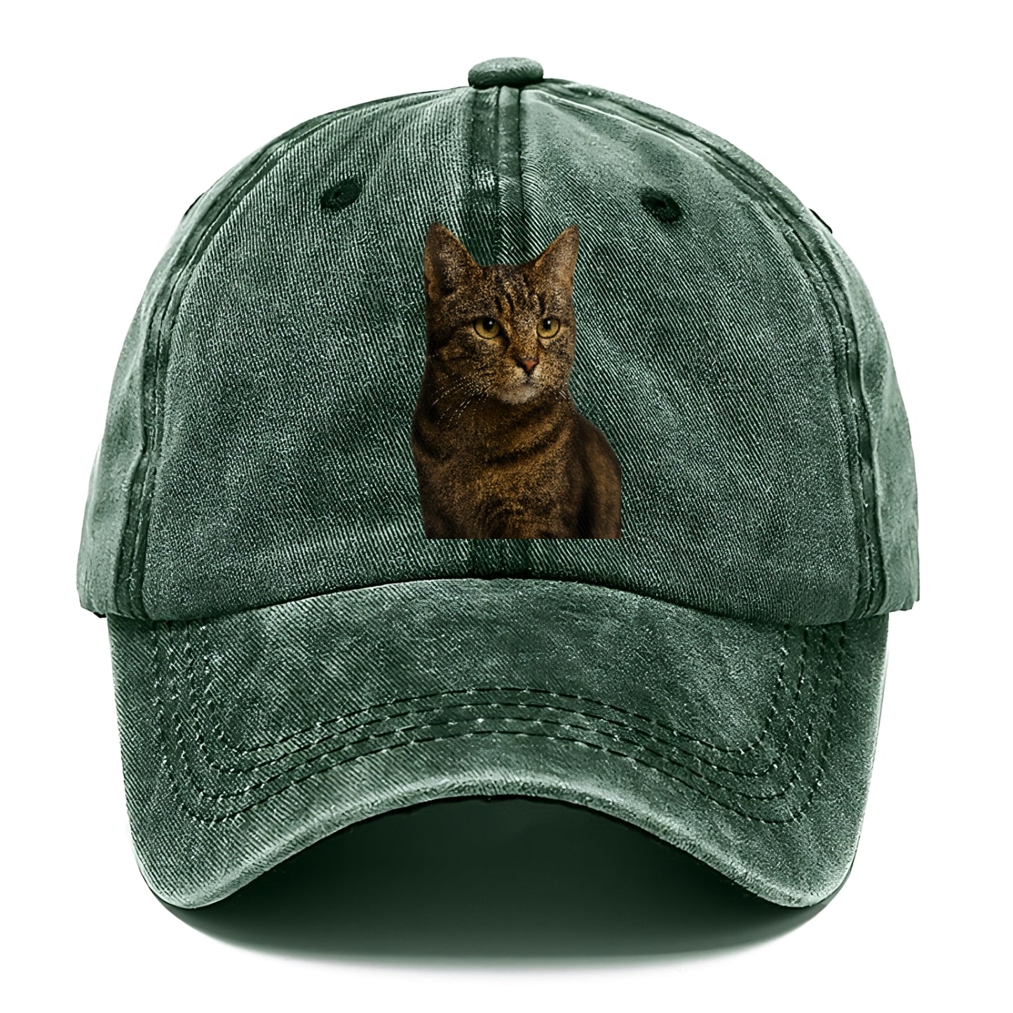 barn-cat-rustic-charm Hat