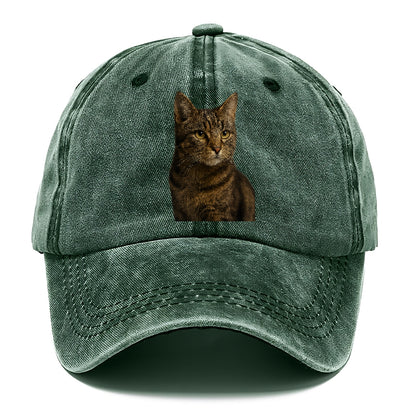 barn-cat-rustic-charm Hat