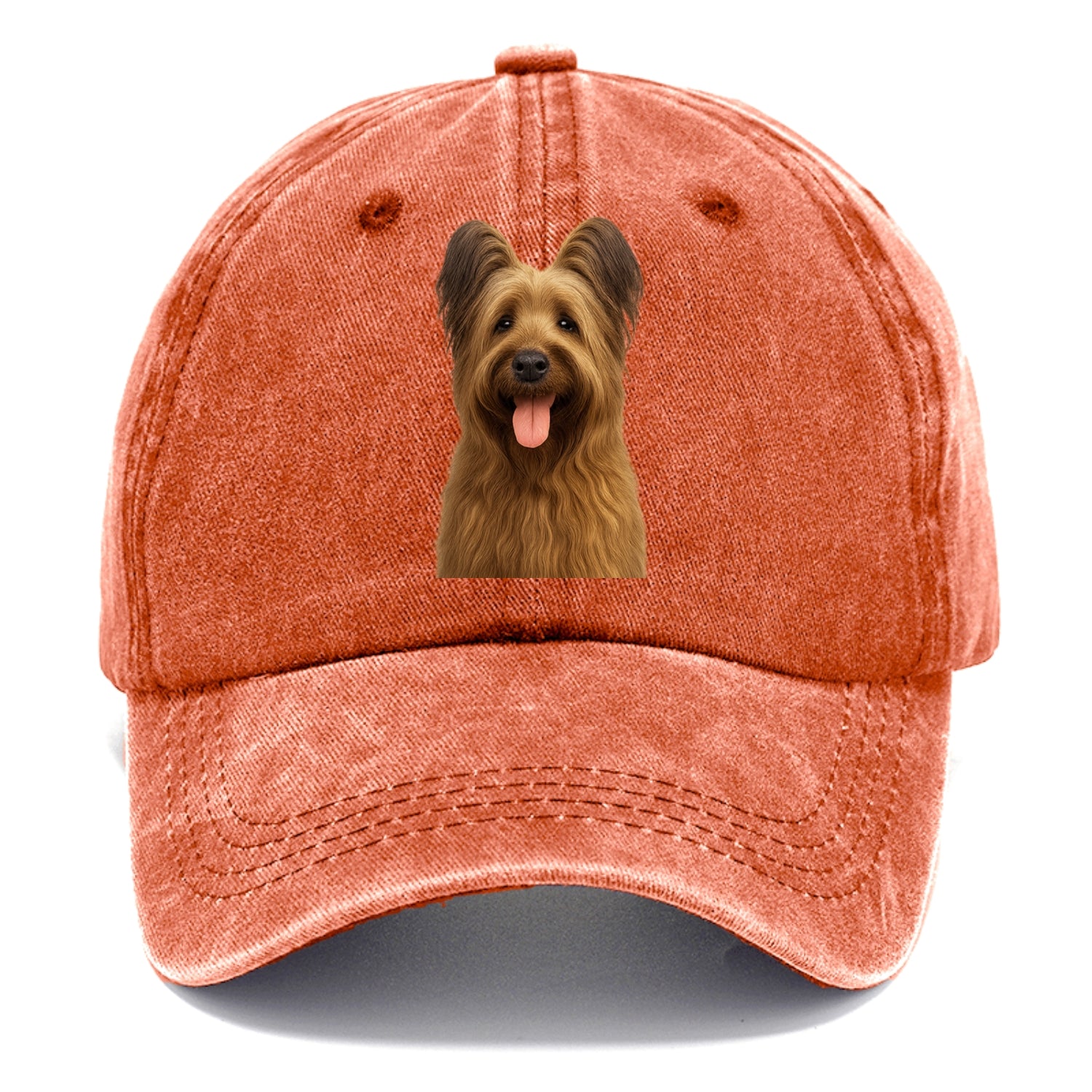 briard: majestic heart, shaggy soul Hat