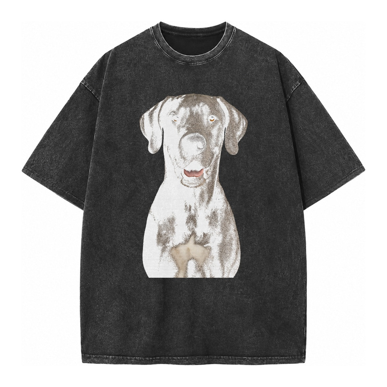 Great Dane: Gentle Giant, Noble Heart Vintage T-shirt – Black