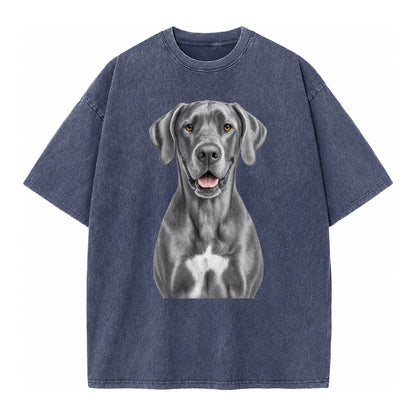 Great Dane: Gentle Giant, Noble Heart Vintage T-shirt – Blue