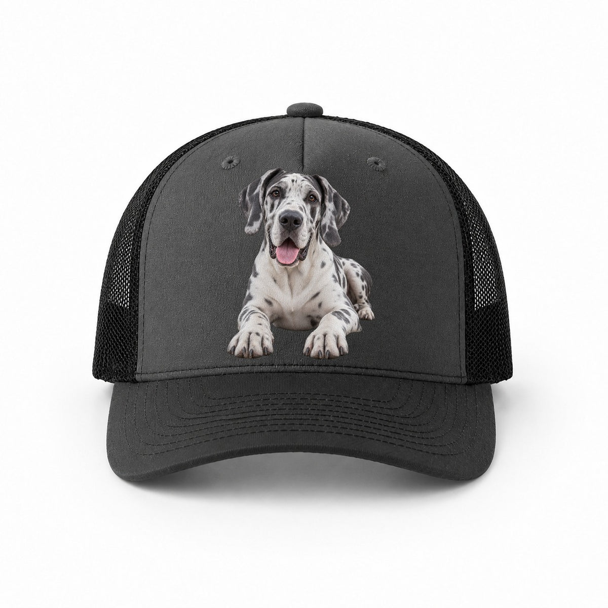 Dark Grey-Black — front view
