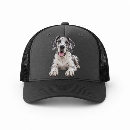 Dark Grey-Black — front view