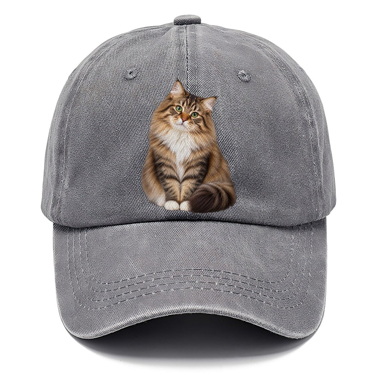 Siberian Seated Portrait Realistic Cat Portrait Classic Cap – Urban Haze