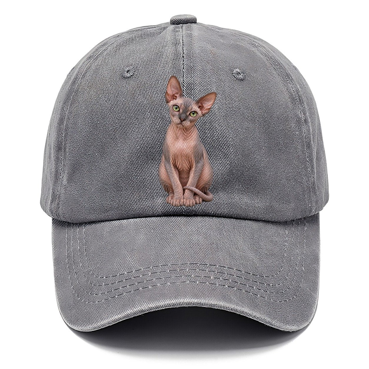 Sphynx Seated Portrait Realistic Cat Portrait Classic Cap – Urban Haze
