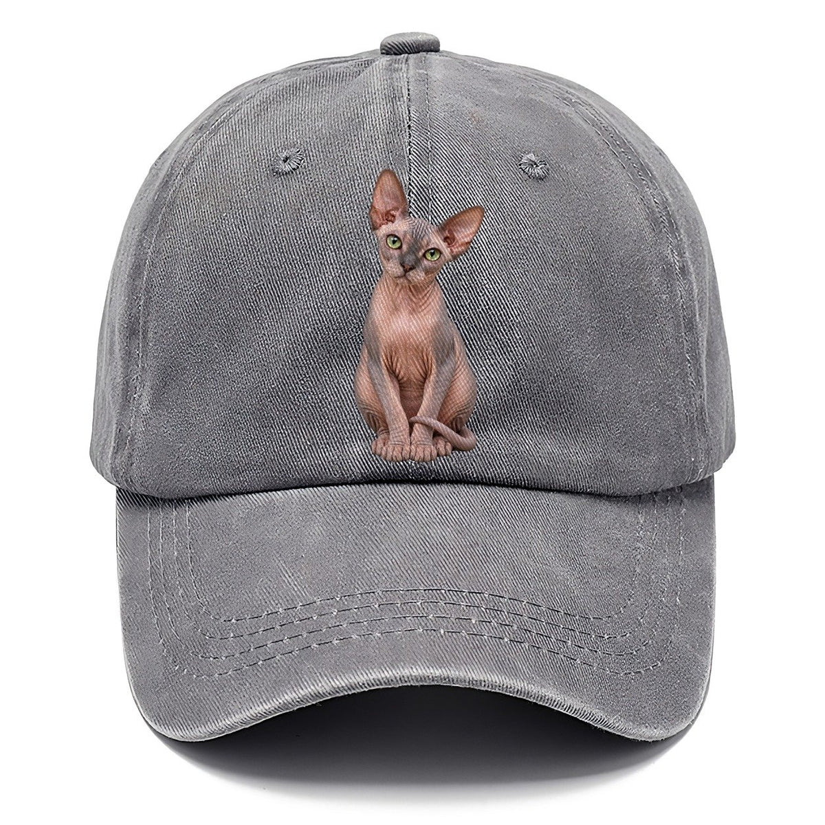Sphynx Seated Portrait Realistic Cat Portrait Classic Cap – Urban Haze