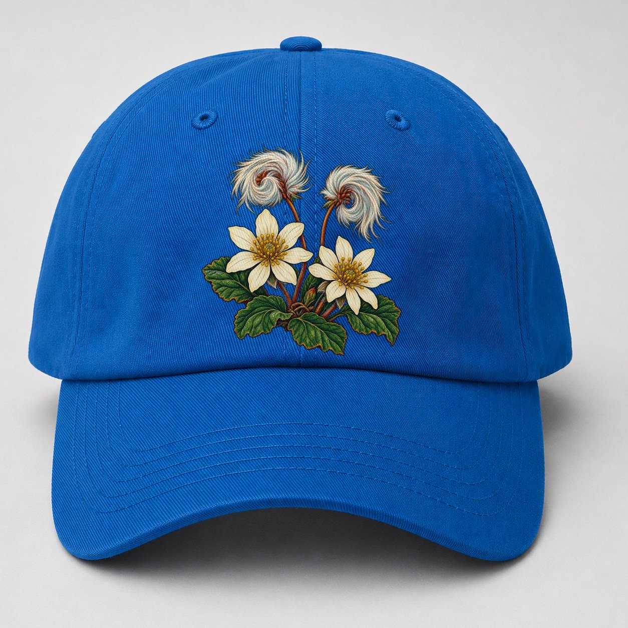 Northwest Territories Mountain Avens Canada Cultural Icons Baseball Cap – Blue