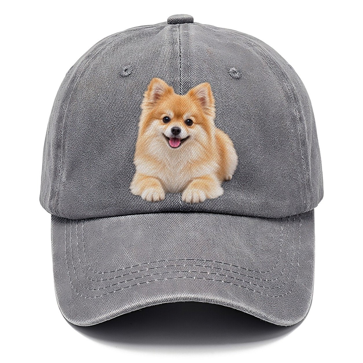 Pomeranian Lying Down Top Breeds Classic Cap – Urban Haze