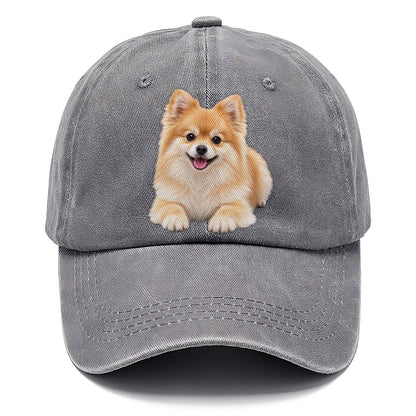 Pomeranian Lying Down Top Breeds Classic Cap – Urban Haze