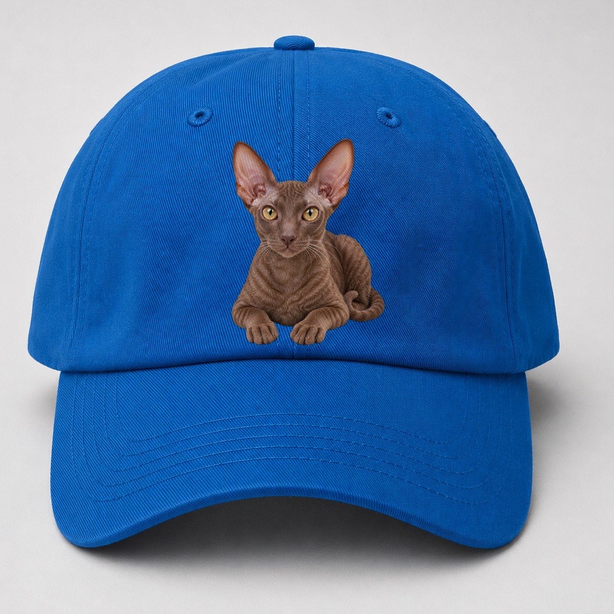 Cornish Rex Reclining Paws Forward Realistic Cat Portrait Baseball Cap – Blue