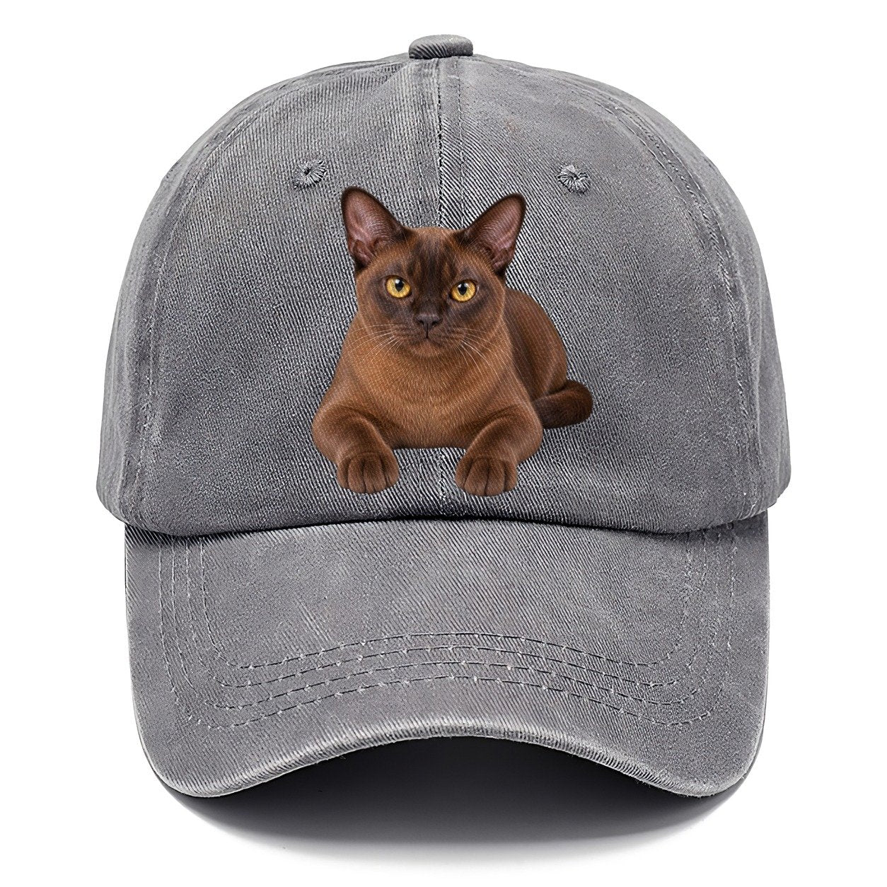 Burmese Reclining Paws Forward Realistic Cat Portrait Classic Cap – Urban Haze