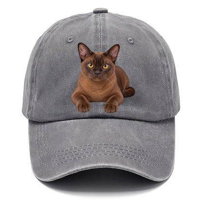 Burmese Reclining Paws Forward Realistic Cat Portrait Classic Cap – Urban Haze