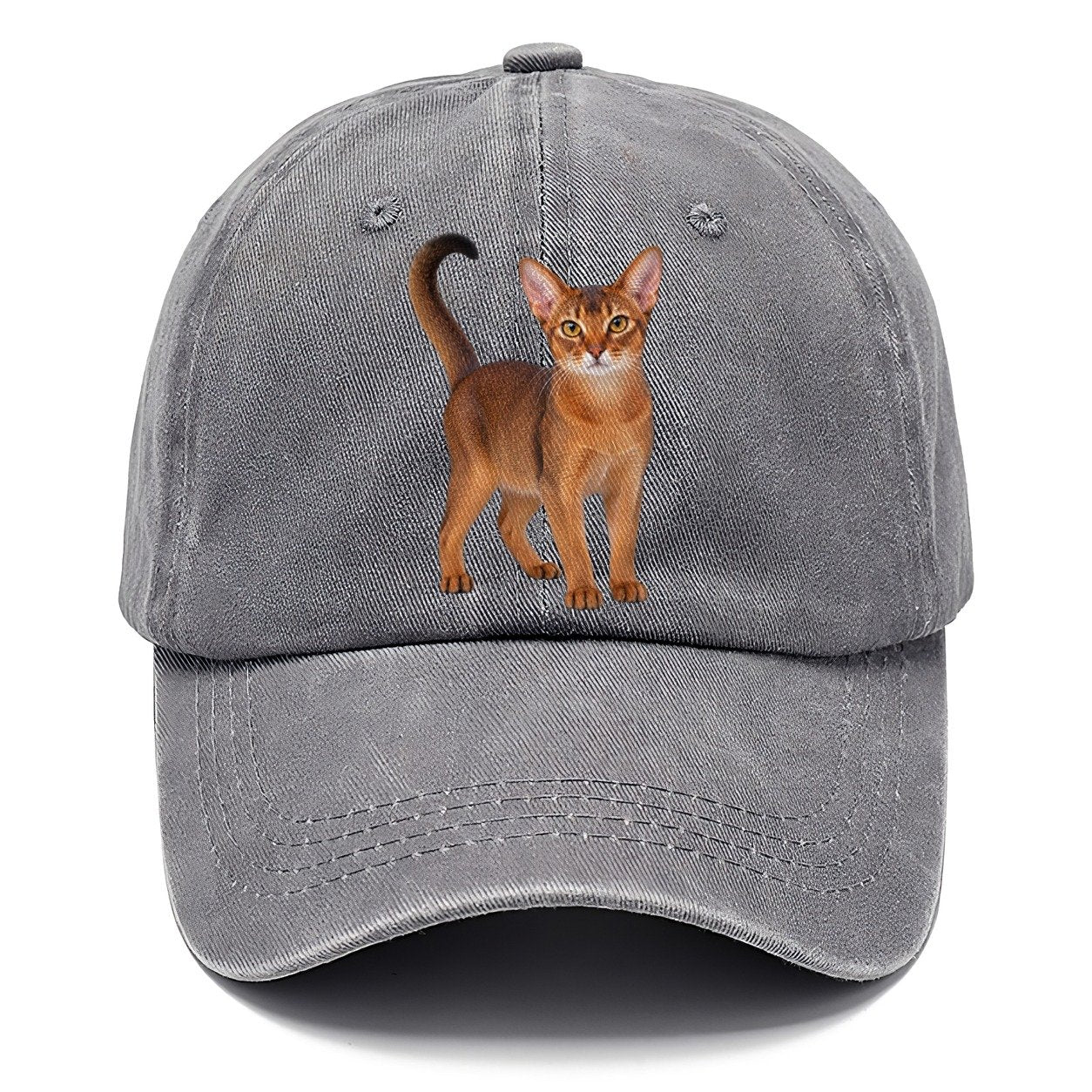 Abyssinian Standing Three Quarter Realistic Cat Portrait Classic Cap – Urban Haze