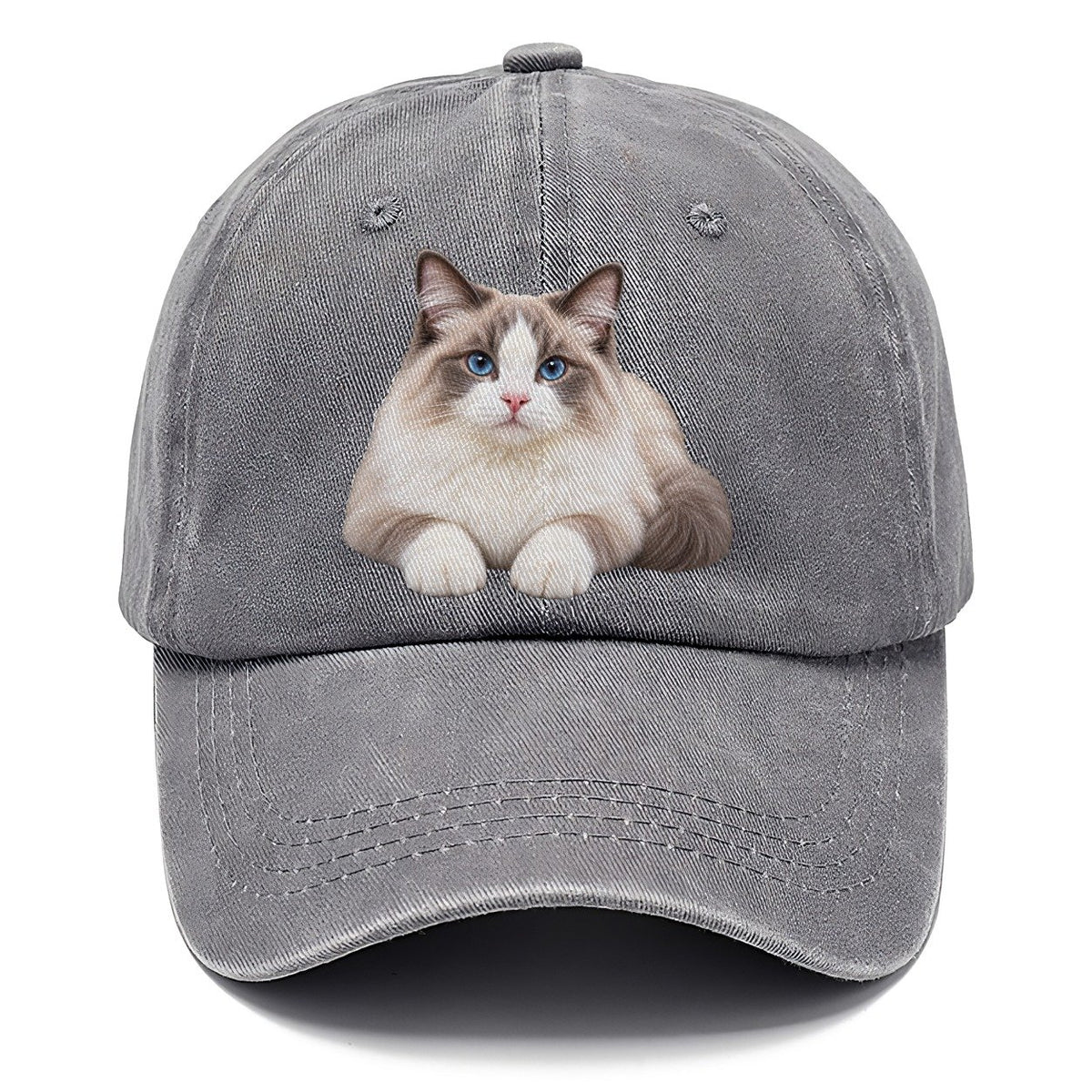 Ragdoll Reclining Paws Forward Realistic Cat Portrait Classic Cap – Urban Haze