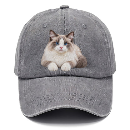 Ragdoll Reclining Paws Forward Realistic Cat Portrait Classic Cap – Urban Haze