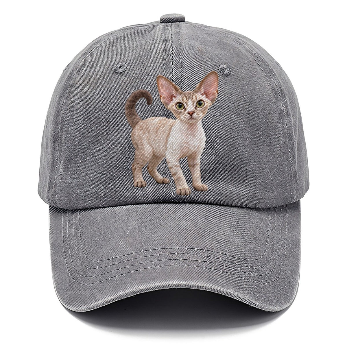 Devon Rex Standing Three Quarter Realistic Cat Portrait Classic Cap – Urban Haze