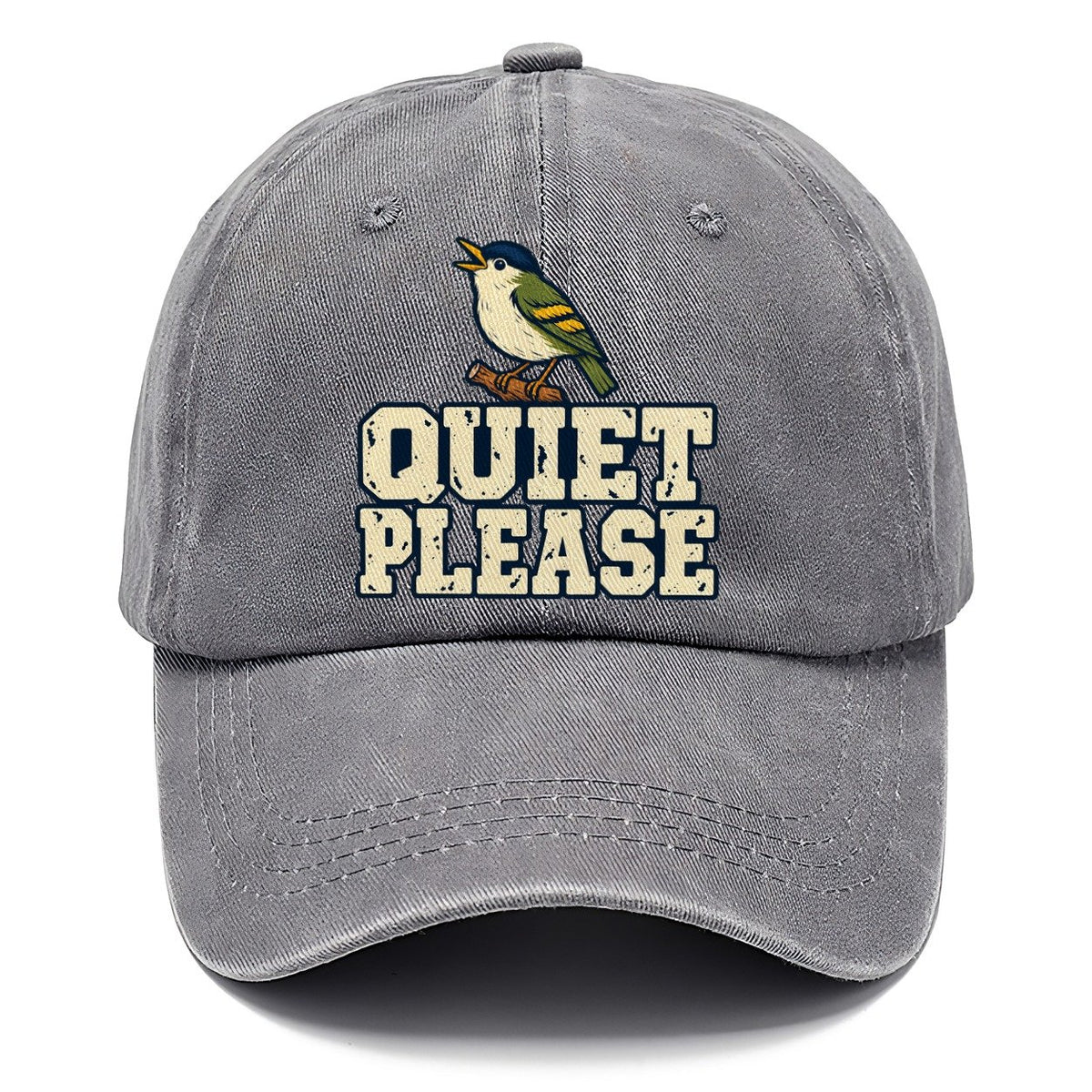 Quiet Please Birdwatching Classic Cap – Urban Haze