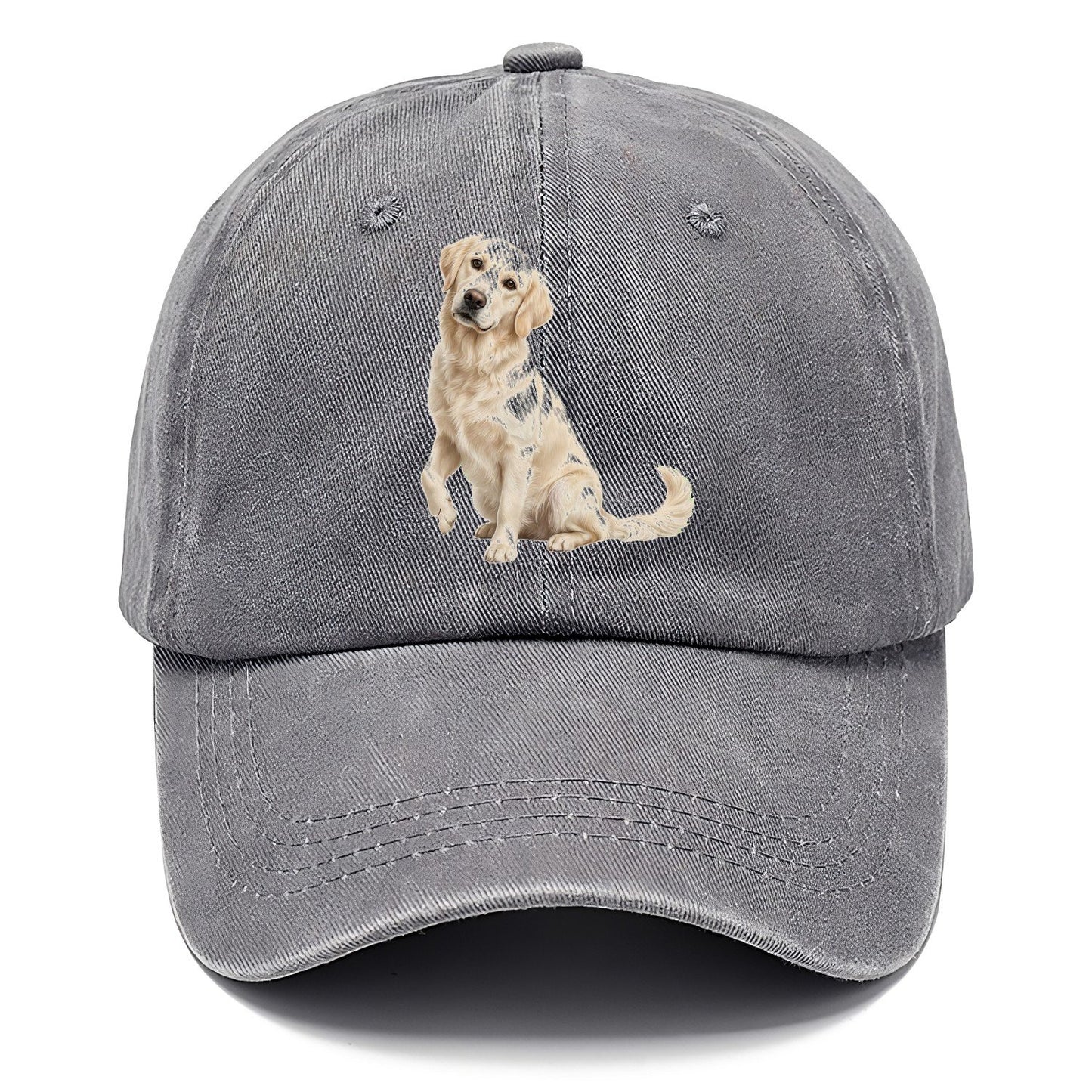 Seated Golden Classic Cap – Urban Haze