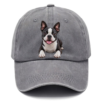 Boston Terrier Lying Down Top Breeds Classic Cap – Urban Haze
