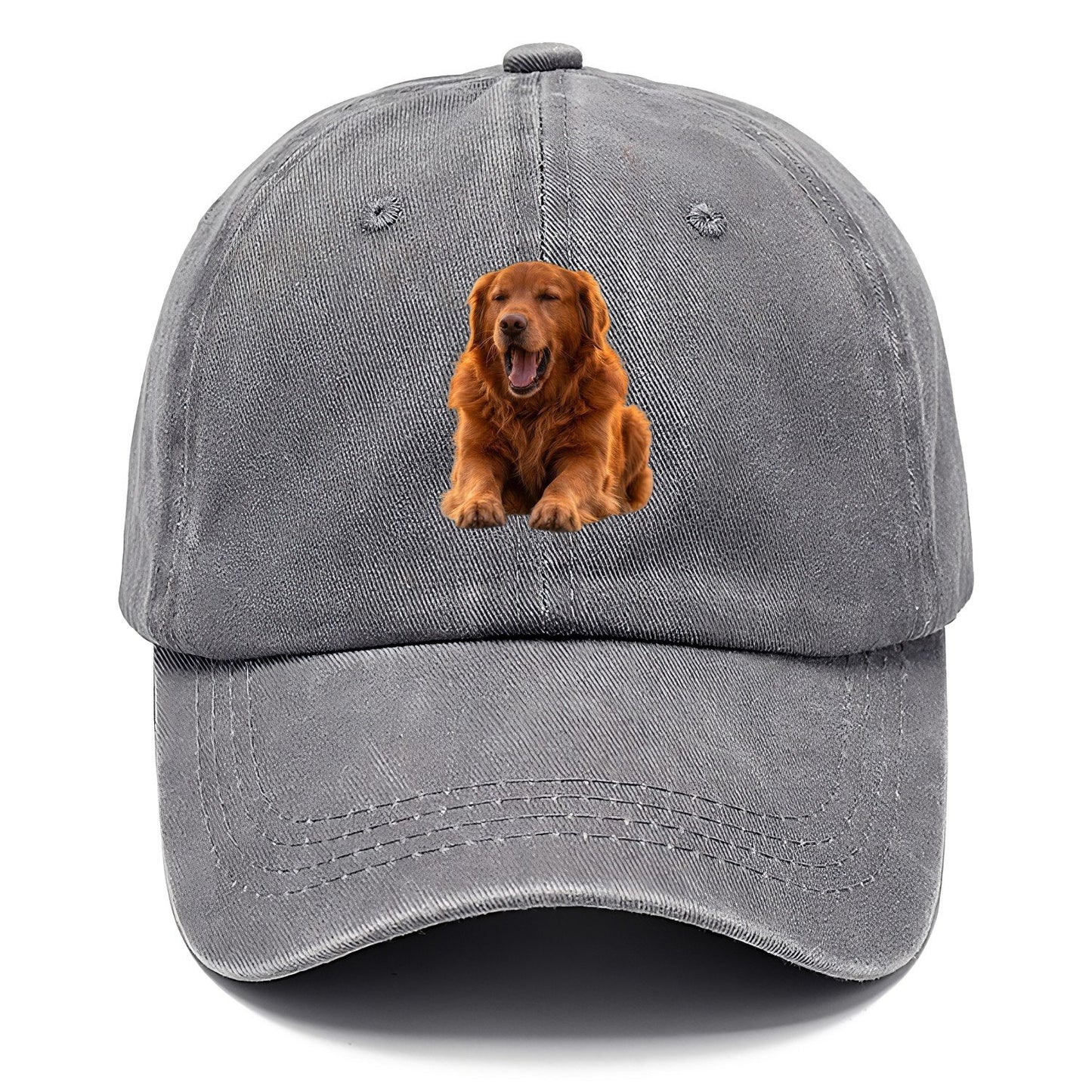 Golden Retriever Yawn Classic Cap – Urban Haze