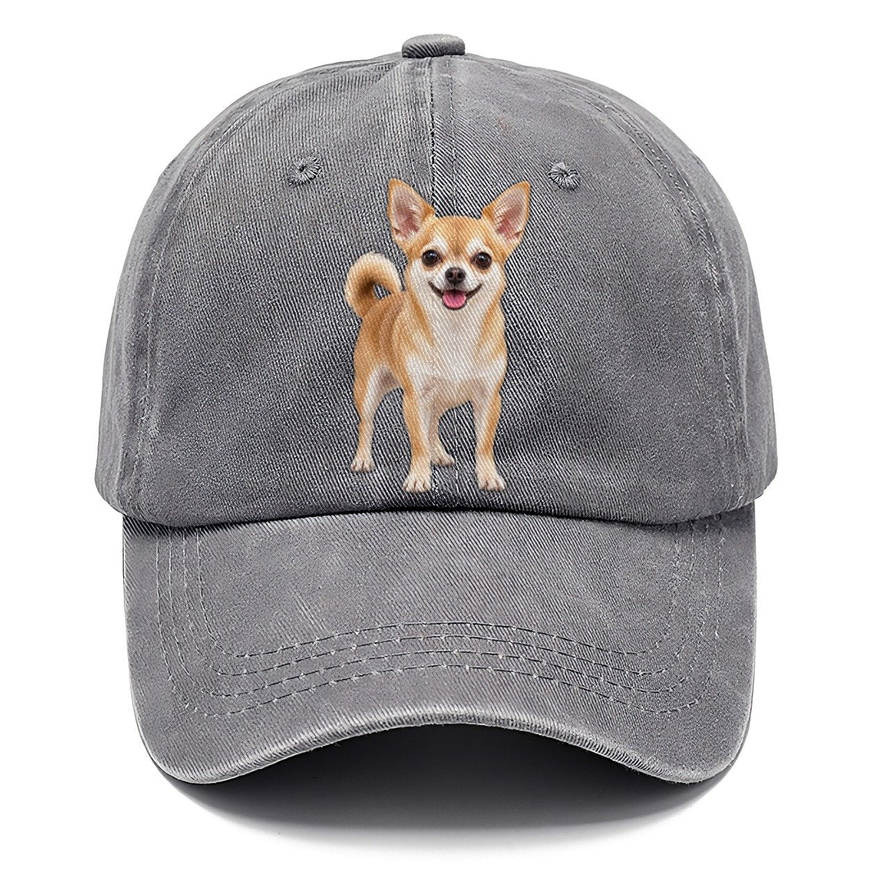 Chihuahua Standing Top Breeds Classic Cap – Urban Haze