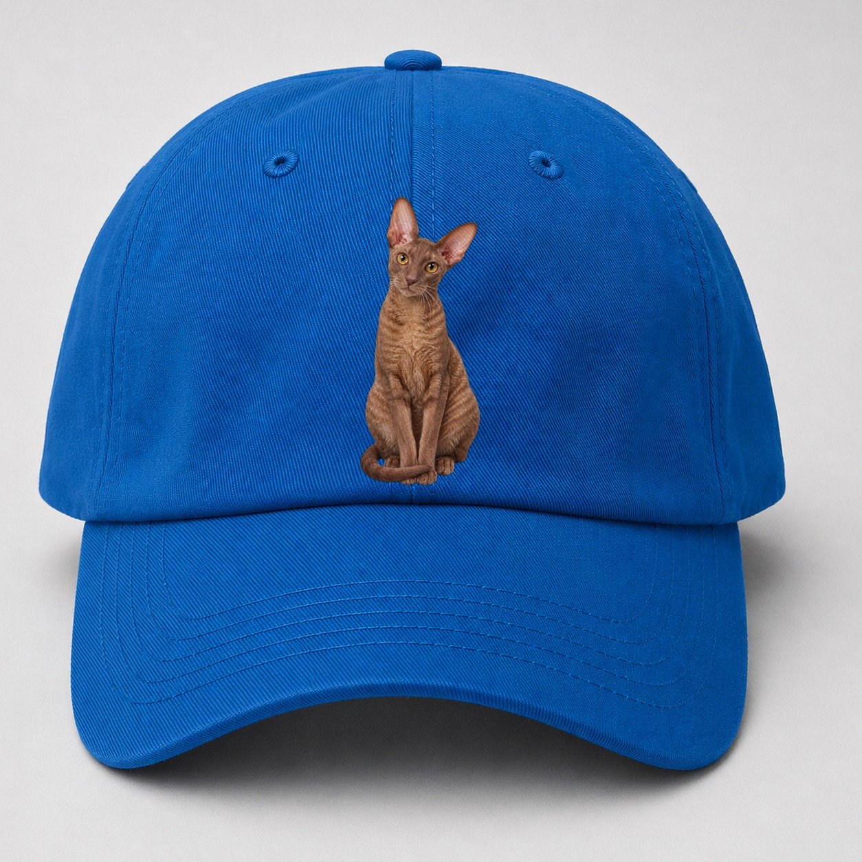 Cornish Rex Seated Portrait Realistic Cat Portrait Baseball Cap – Blue