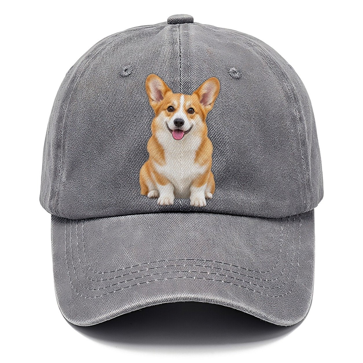Pembroke Welsh Corgi Sitting Top Breeds Classic Cap – Urban Haze